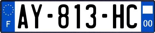 AY-813-HC