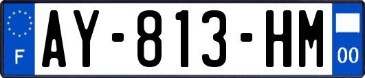 AY-813-HM