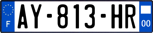 AY-813-HR