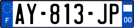 AY-813-JP