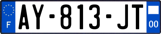 AY-813-JT