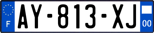 AY-813-XJ