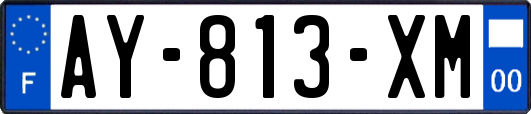AY-813-XM