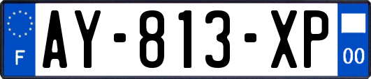 AY-813-XP