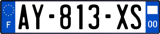AY-813-XS