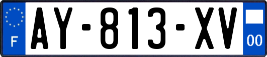 AY-813-XV
