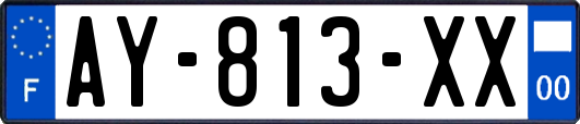 AY-813-XX