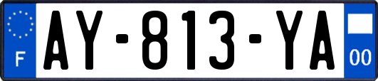 AY-813-YA