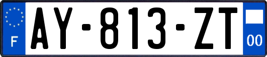 AY-813-ZT