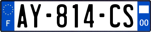 AY-814-CS