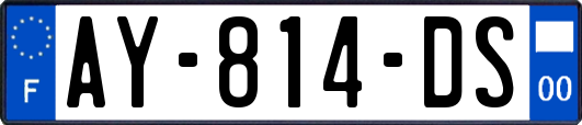 AY-814-DS