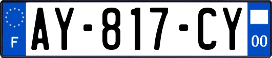 AY-817-CY