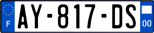 AY-817-DS