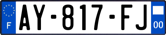 AY-817-FJ