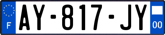 AY-817-JY