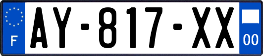 AY-817-XX