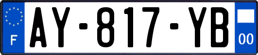 AY-817-YB