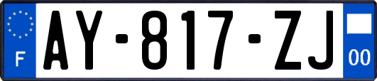 AY-817-ZJ