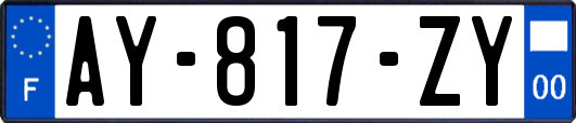 AY-817-ZY