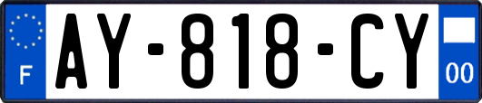AY-818-CY