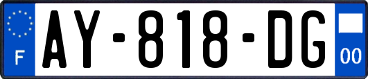AY-818-DG