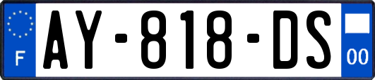 AY-818-DS