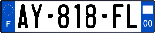 AY-818-FL