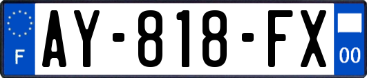 AY-818-FX