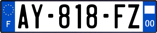 AY-818-FZ