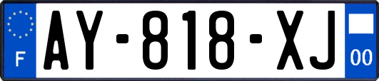 AY-818-XJ