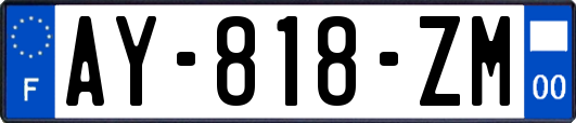 AY-818-ZM