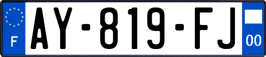AY-819-FJ