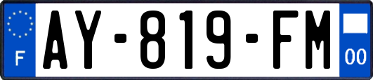 AY-819-FM