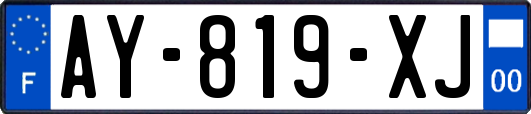 AY-819-XJ