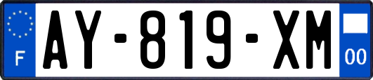AY-819-XM
