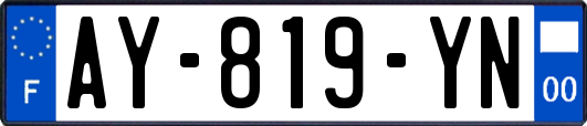 AY-819-YN