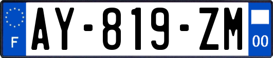 AY-819-ZM