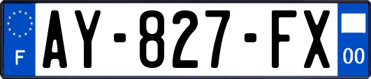 AY-827-FX