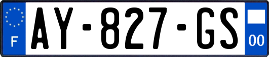 AY-827-GS