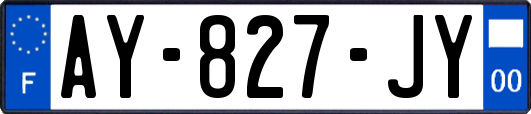 AY-827-JY
