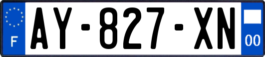 AY-827-XN