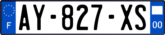 AY-827-XS