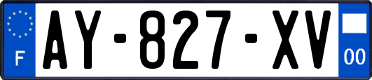 AY-827-XV