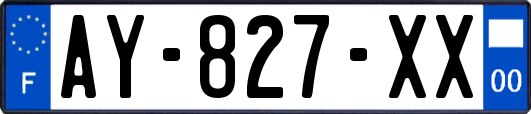 AY-827-XX
