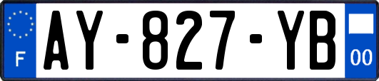 AY-827-YB