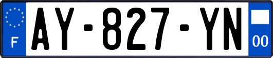 AY-827-YN