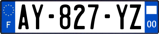 AY-827-YZ