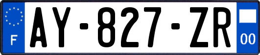 AY-827-ZR