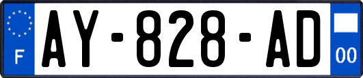 AY-828-AD