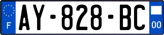 AY-828-BC